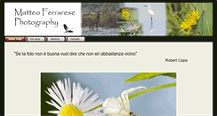Desktop Screenshot of matteoferrarese.com